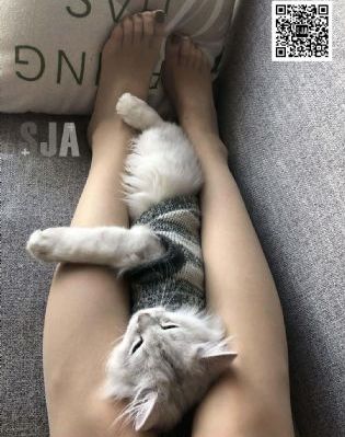 电影西施_HD高清在线观看