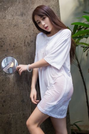 坎贝奇三部曲在线观看_4K高清完整版